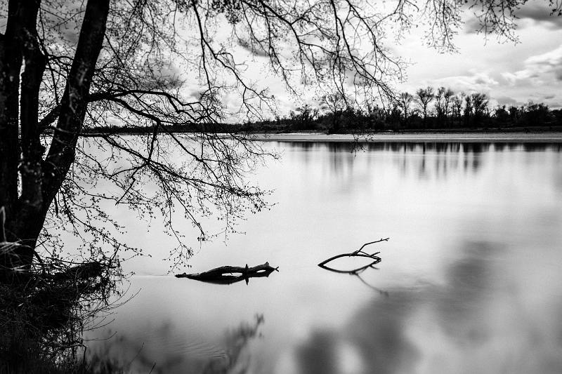 2018_04_15_La Loire (0013).jpg - Charrin (avril 2018)